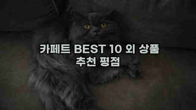  카페트 BEST 10 외 상품 추천 평점