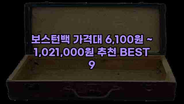 보스턴백 가격대 6,100원 ~ 1,021,000원 추천 BEST 9