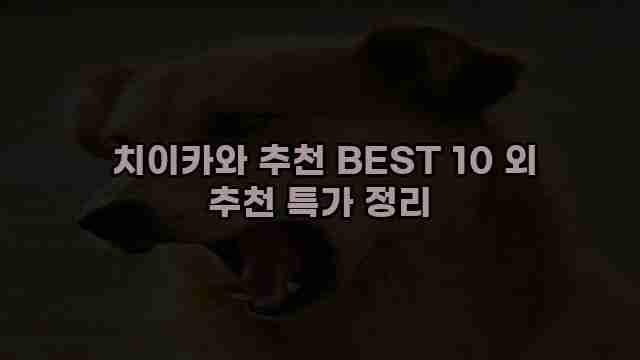  치이카와 추천 BEST 10 외 추천 특가 정리