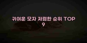 알리파파의 가성비 알리 제품 추천 25365 1