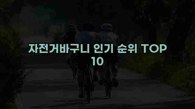 자전거바구니 인기 순위 TOP 10