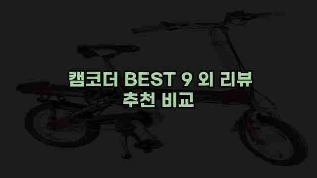  캠코더 BEST 9 외 리뷰 추천 비교