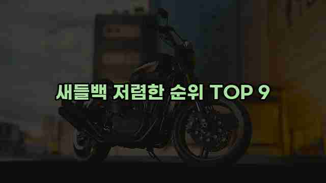 새들백 저렴한 순위 TOP 9