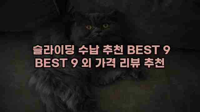  슬라이딩 수납 추천 BEST 9 BEST 9 외 가격 리뷰 추천