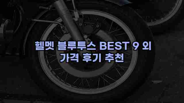  헬멧 블루투스 BEST 9 외 가격 후기 추천