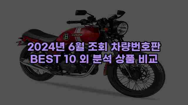 2024년 6월 조회 차량번호판 BEST 10 외 분석 상품 비교