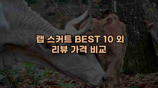  랩 스커트 BEST 10 외 리뷰 가격 비교