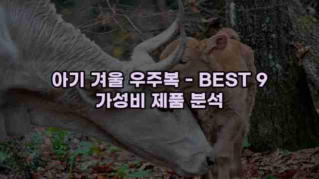 아기 겨울 우주복 - BEST 9 가성비 제품 분석