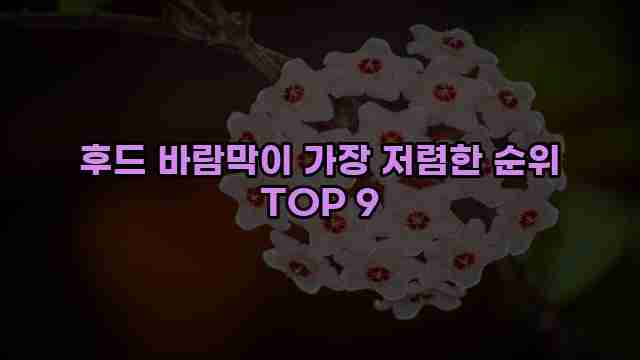 후드 바람막이 가장 저렴한 순위 TOP 9