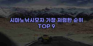 알리파파의 가성비 알리 제품 추천 27069 64