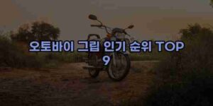 알리파파의 가성비 알리 제품 추천 27414 98