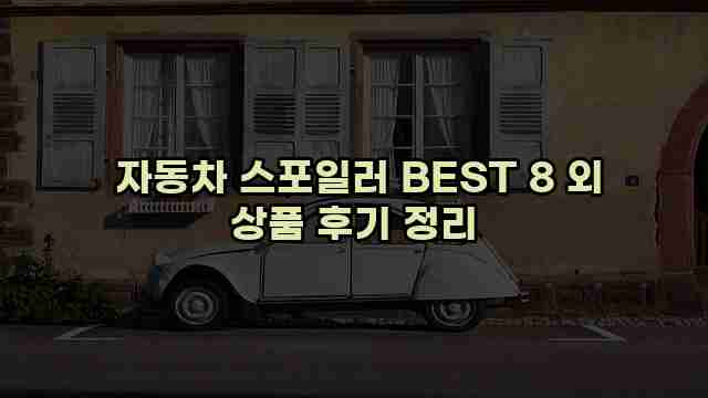  자동차 스포일러 BEST 8 외 상품 후기 정리