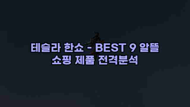 테슬라 한쇼 - BEST 9 알뜰 쇼핑 제품 전격분석