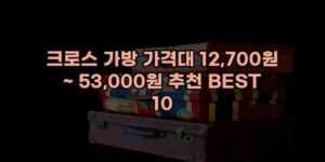알리파파의 가성비 알리 제품 추천 30312 12
