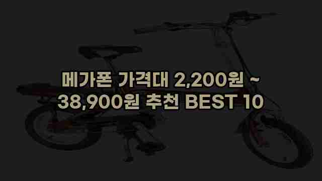 메가폰 가격대 2,200원 ~ 38,900원 추천 BEST 10