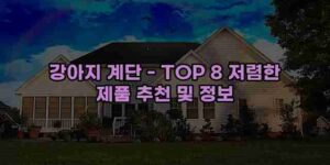 알리파파의 가성비 알리 제품 추천 26643 1