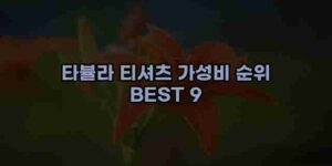 알리파파의 가성비 알리 제품 추천 32055 46