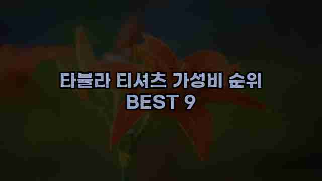 타뷸라 티셔츠 가성비 순위 BEST 9
