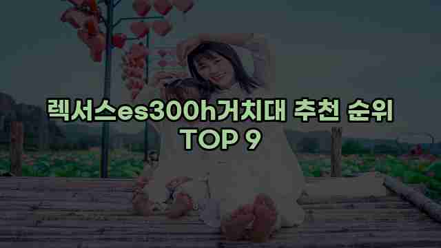 렉서스es300h거치대 추천 순위 TOP 9