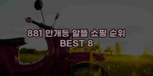 알리파파의 가성비 알리 제품 추천 41235 16
