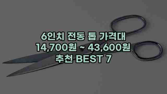 6인치 전동 톱 가격대 14,700원 ~ 43,600원 추천 BEST 7