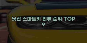 알리파파의 가성비 알리 제품 추천 42228 15