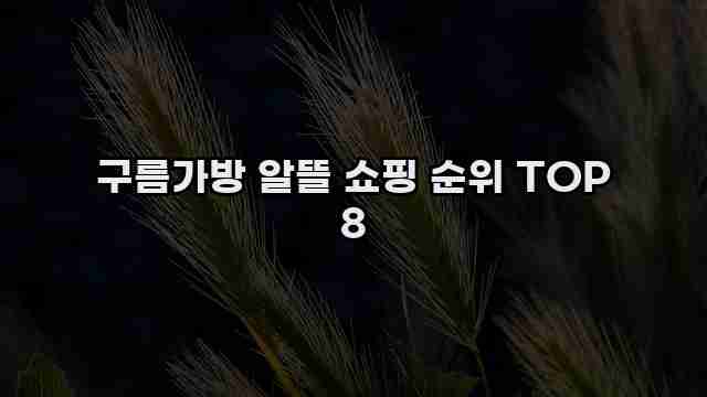 구름가방 알뜰 쇼핑 순위 TOP 8