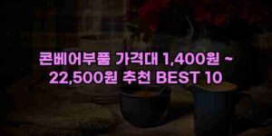 알리파파의 가성비 알리 제품 추천 31797 65