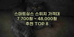 알리파파의 가성비 알리 제품 추천 31797 38