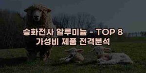 알리파파의 가성비 알리 제품 추천 36888 14