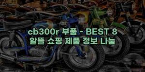 알리파파의 가성비 알리 제품 추천 45309 17