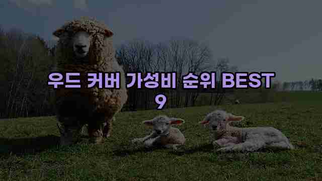 우드 커버 가성비 순위 BEST 9