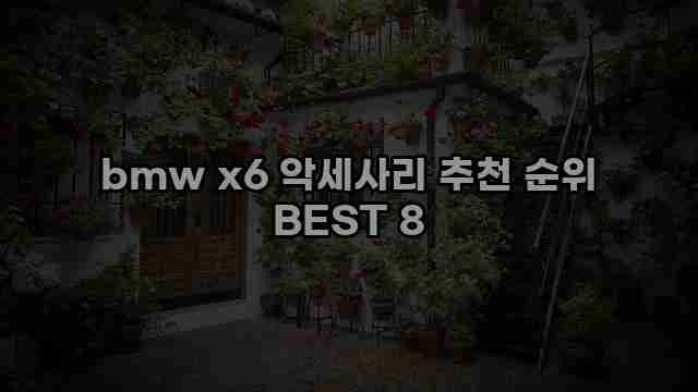 bmw x6 악세사리 추천 순위 BEST 8