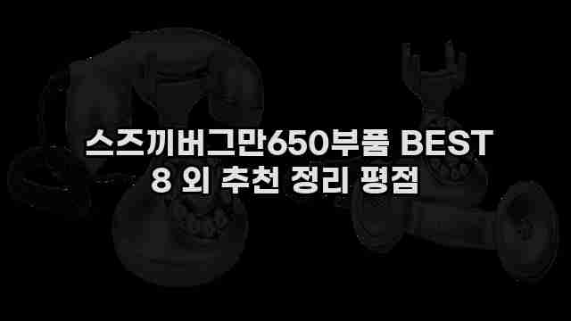  스즈끼버그만650부품 BEST 8 외 추천 정리 평점