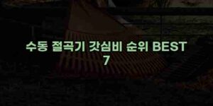 알리파파의 가성비 알리 제품 추천 32079 28