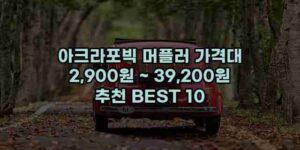 알리파파의 가성비 알리 제품 추천 44690 28