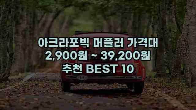 아크라포빅 머플러 가격대 2,900원 ~ 39,200원 추천 BEST 10