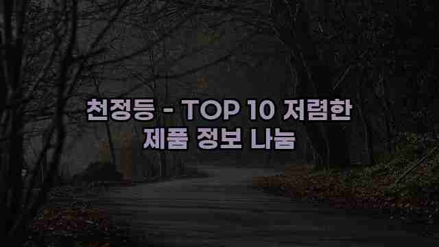 천정등 - TOP 10 저렴한 제품 정보 나눔