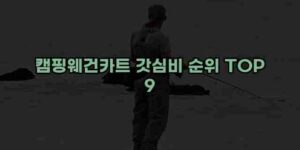 알리파파의 가성비 알리 제품 추천 43778 33