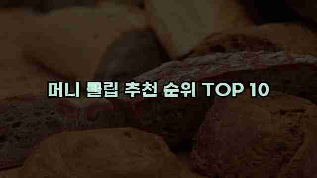 머니 클립 추천 순위 TOP 10