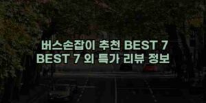 알리파파의 가성비 알리 제품 추천 32494 1