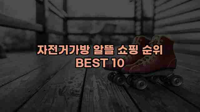 자전거가방 알뜰 쇼핑 순위 BEST 10