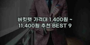 알리파파의 가성비 알리 제품 추천 32638 1