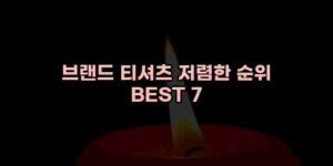 알리파파의 가성비 알리 제품 추천 33534 68