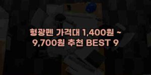 알리파파의 가성비 알리 제품 추천 33060 25