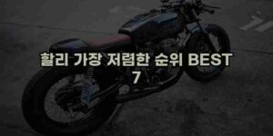 알리파파의 가성비 알리 제품 추천 32870 1