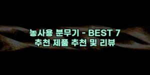 알리파파의 가성비 알리 제품 추천 33250 94