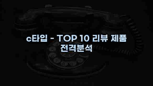 c타입 - TOP 10 리뷰 제품 전격분석