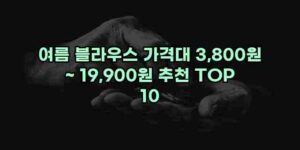 알리파파의 가성비 알리 제품 추천 33606 40