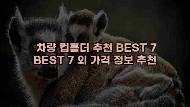  차량 컵홀더 추천 BEST 7 BEST 7 외 가격 정보 추천